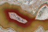 Polished Baker Ranch Thunderegg - New Mexico #145647-1